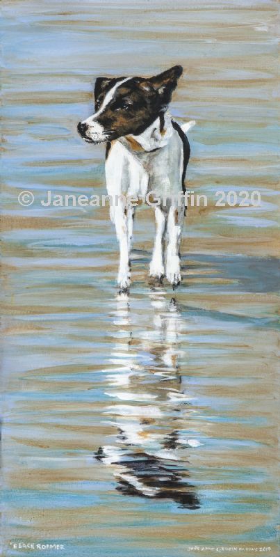 Jack Russell on wet sand